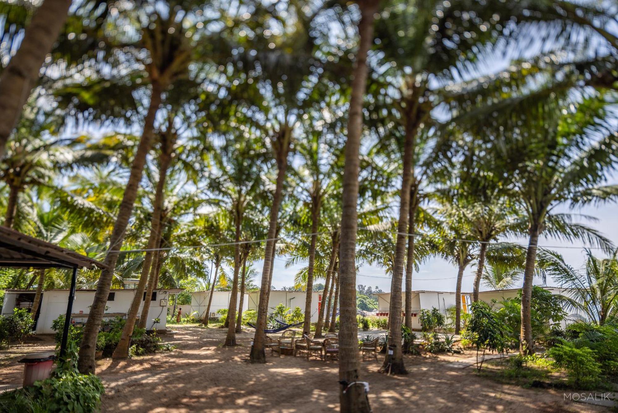 פטנם Abidal Resort מראה חיצוני תמונה
